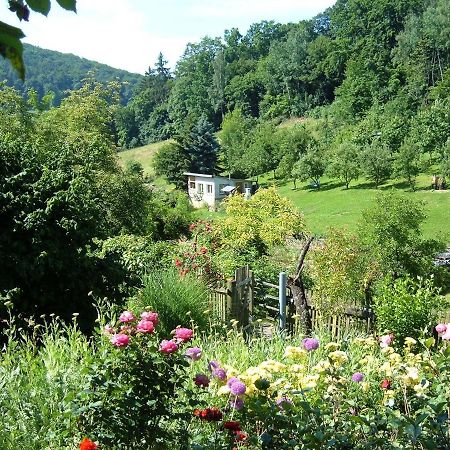 Ferienwohnungen "Allerleigruen" Langenroda Exteriör bild