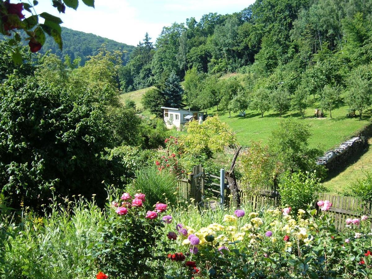 Ferienwohnungen "Allerleigruen" Langenroda Exteriör bild
